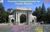 Precision Timing Detectors for Particle Physics