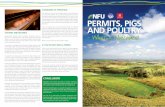 PERMITS, PIGS AND POULTRY