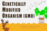 GENETICALLY MODIFIED ORGANISM (GMO)