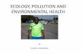 ECOLOGY, POLLUTION AND ENVIRONMENTAL HEALTH