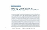 Whole Organization and Multiple Organization Interventions