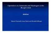 Operation on Ammonia and Hydrogen at the Rough Limit