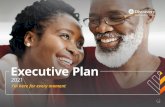 Executive Plan - Discovery