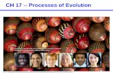 CH 17 -- Processes of Evolution