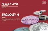 OCR A Level and AS Level Biology A Delivery Guide - Theme ...