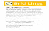 Brid Lines - bridmodelrail