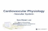 Cardiovascular System(24) Cardiovascular System (CVS, 心血管 …