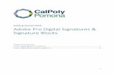 Adobe Pro Digital Signatures & Signature Blocks