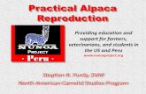 Practical Alpaca Reproduction - nunoaproject.org