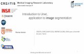 Introduction to Unet, application to image segmentation