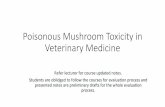 Poisonous Mushroom Toxicity in Veterinary Medicine
