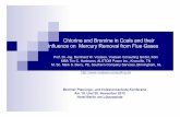 Chlorine and Bromine in Coals and their Influence on ...