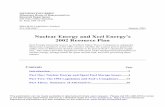 Nuclear Energy and Xcel Energy's 2002 Resource Plan