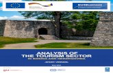 ANALYSIS OF THE TOURISM SECTOR