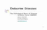 Endocrine 2015 posting - med.uottawa.ca