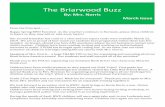 The Briarwood Buzz