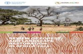 Review of forest and landscape restoration in Africa 2021