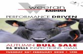 PERFORMANCE - Weeran Angus | Angus Cattle | Bull Sales