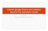 Lattice gauge theory and physics beyond the standard model