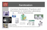 Common Sanitization Practices andCommon Sanitization ...