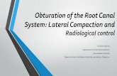 Obturation of the Root Canal System: Lateral Compaction and