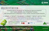 Comparative Analysis of Temporal Decorrelation at P and L ...