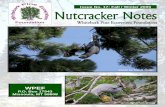 Nutcracker Notes - Whitebark Pine Ecosystem Foundation