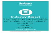 Industry Report Computer programming, consultancy and ...