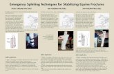 Emergency Splinting Techniques for Stabilizing Equine ...