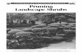 HO-59: Pruning Landscape Shrubs