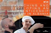 LAUNCHING AND DEVELOPING AN APPRENTICESHIP SYSTEM IN …