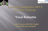Viral retinitis - todnet.org