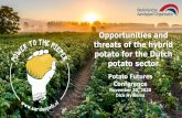 Opportunities and threats of the hybrid potato for the ...