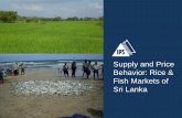 Supply and Price Behavior: Rice & Fish Markets of Sri Lanka