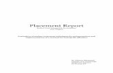 Placement Report - DiVA portal