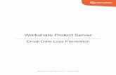 Workshare Protect Server