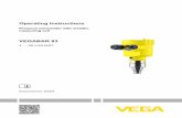 Operating Instructions - VEGABAR 83 - 4 ƒ 20 mA/HART