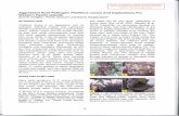 Aggressive root pathogen Phellinus noxius and implications ...