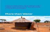 More than Water - OECD