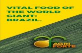 VITAL FOOD OF THE WORLD GIANT: BRAZIL.