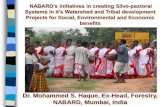 NABARD’s initiatives in creating Silvo-pastoral Systems in ...