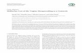 Case Report Müllerian Cyst of the Vagina Masquerading as a ...