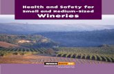 Health and Safety for Small and Medium-sized wineries