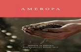 AMEROPA IN ROMANIA SUSTAINABILITY REPORT 2017