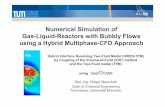 Numerical Simulation of Gas-Liquid-Reactors with Bubbly ...