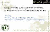 The sheep and goat genome project
