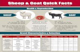 Sheep & Goat Quick Facts