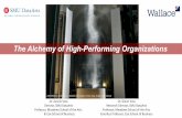 The Alchemy of High-Performing Organizations