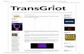 8/20/2018 TransGriot: 2015 Virginia Prince Transgender ...