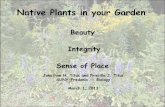 Native Plants in your Garden - Cornell University